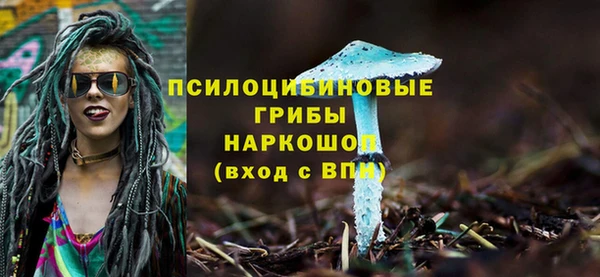 ALPHA-PVP Алексеевка