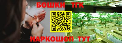 гашик Кулебаки
