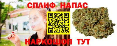 гашик Кулебаки