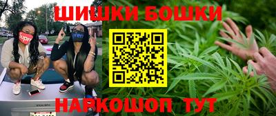 гашик Кулебаки
