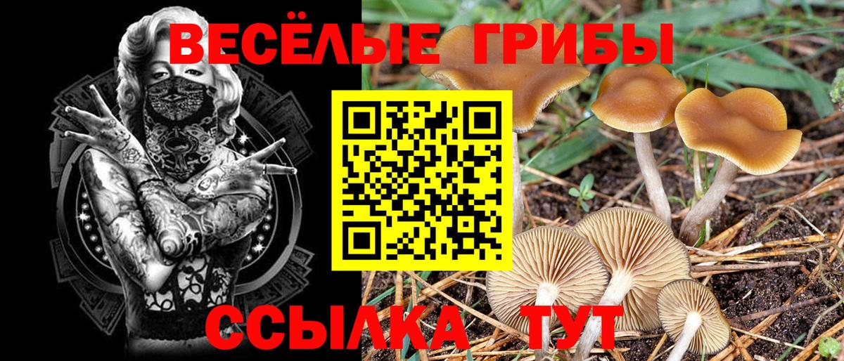 Галлюциногенные грибы MAGIC MUSHROOMS Карачаевск